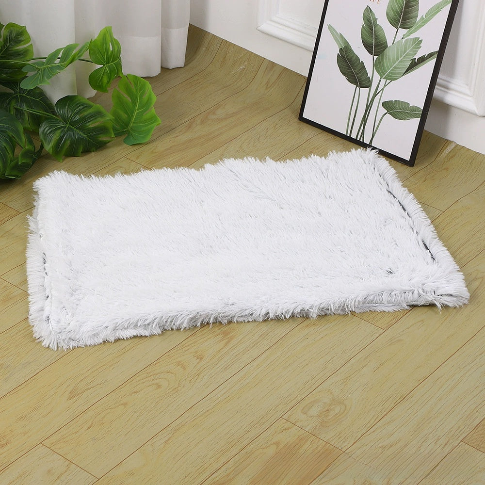 Cama Esponjosa para Mascotas