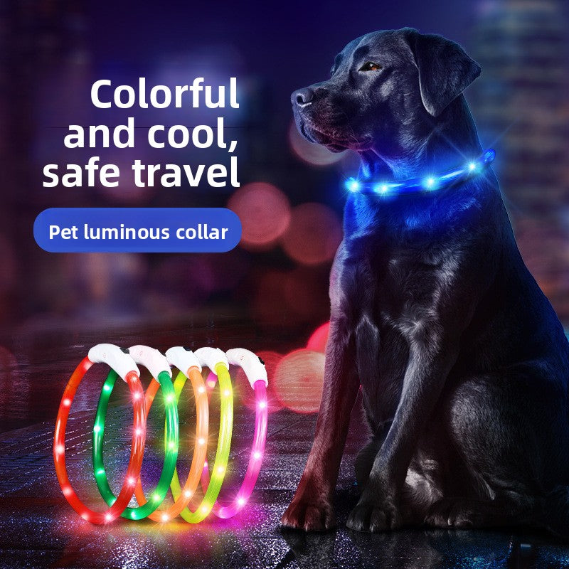 Collar luminoso para mascotas – visibilidad y seguridad en paseos nocturnos