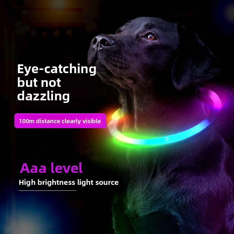 Collar Luminoso para Mascotas
