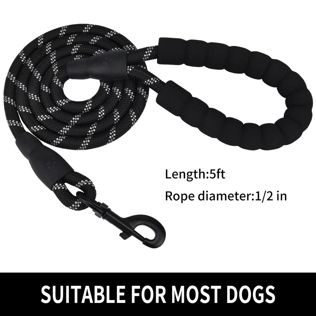 Correa de Nylon para Pasear Perros